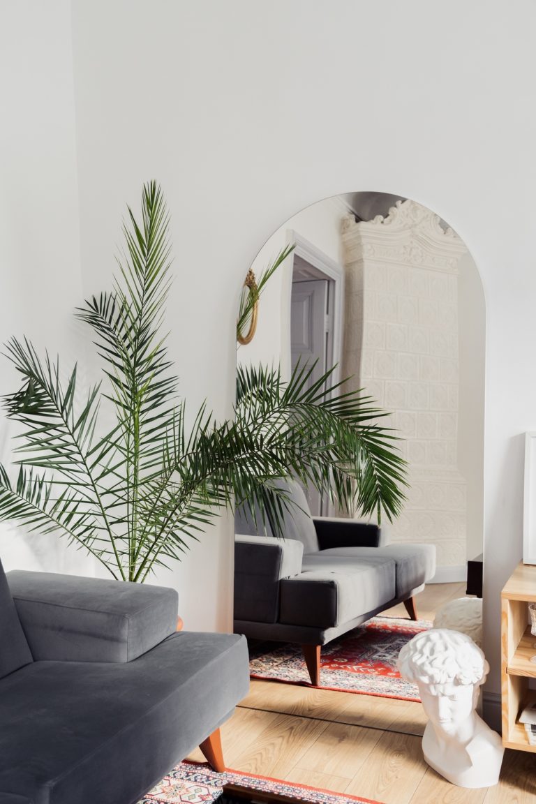 gestion immobilière Echallens